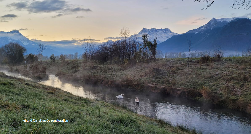 Grenouilles, oiseaux et autres papillons pourront s’épanouir dans deux cours d’eau du Chablais vaudois 